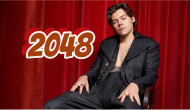Harry Styles 2048